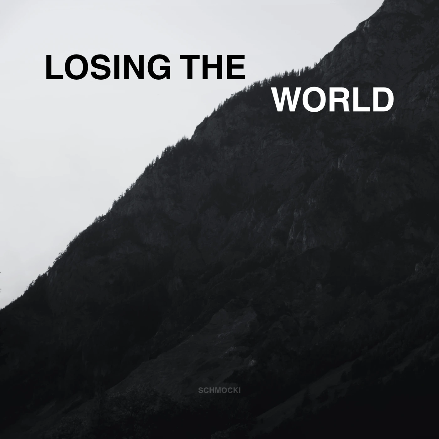 Losing The World — Cover von SCHMOCKI